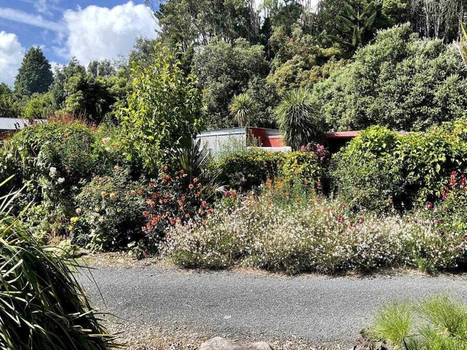 Oakura Pond Cottage - A Unique Kiwi Holiday Bach Exterior foto